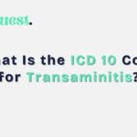 What Is the ICD 10 Code for Transaminitis